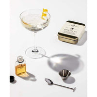 The Champagne Carry-On Cocktail Kit - TheArtsyBox