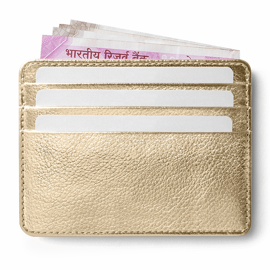 Gold Metallic Skinny Fit Card Wallet - TheArtsyBox