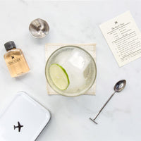 The Gin and Tonic Carry-On Cocktail Kit - TheArtsyBox