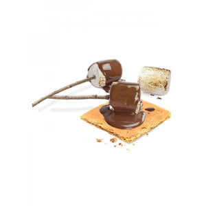 Oh My S'mores! - TheArtsyBox